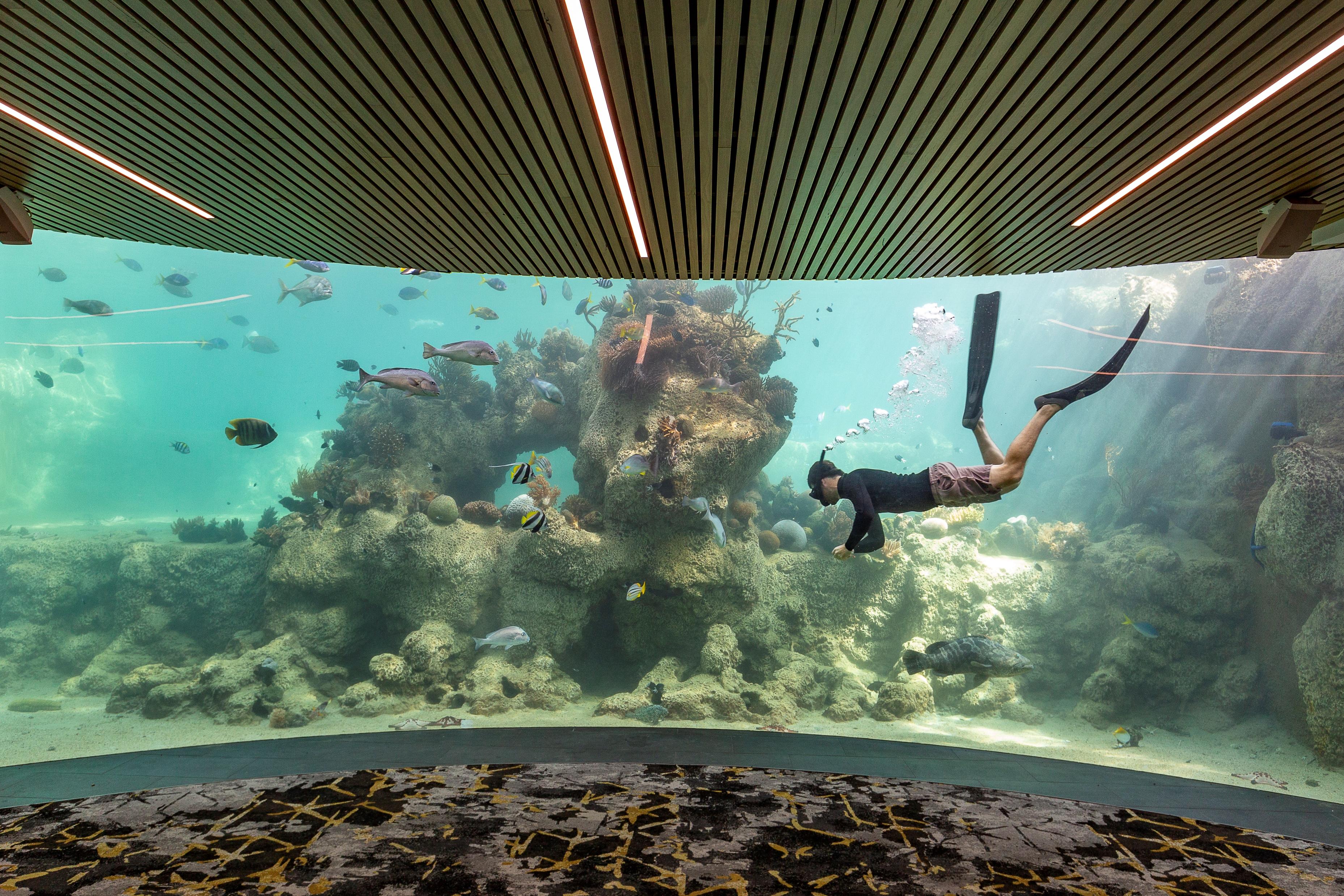Daydream Island Resort Eksteriør bilde